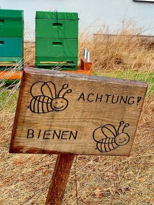 Padlet Bienen-AG