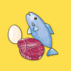 Ernährungspyramide Baustein Fleisch, Fisch und Eier