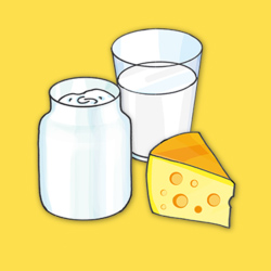Ernährungspyramide Baustein Milch und Milchprodukte