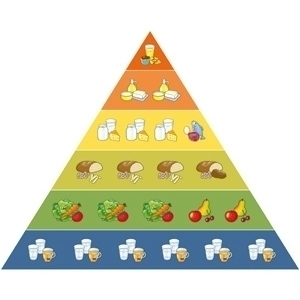 Grafik Ernährungsbildung mit der Ernährungspyramide