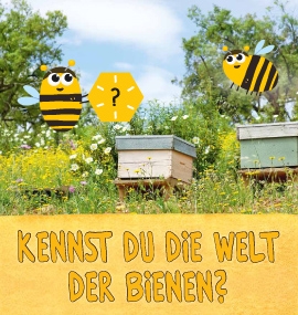 Honig und Bienen im Unterricht