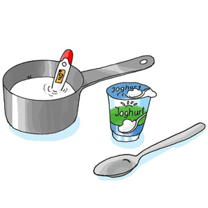 Weißt du, wie Joghurt entsteht?